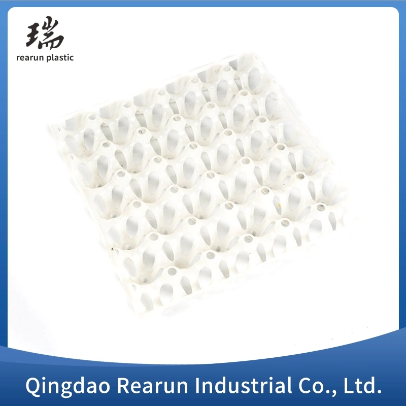 Hot Sale Plastic Egg Trays Custom Color