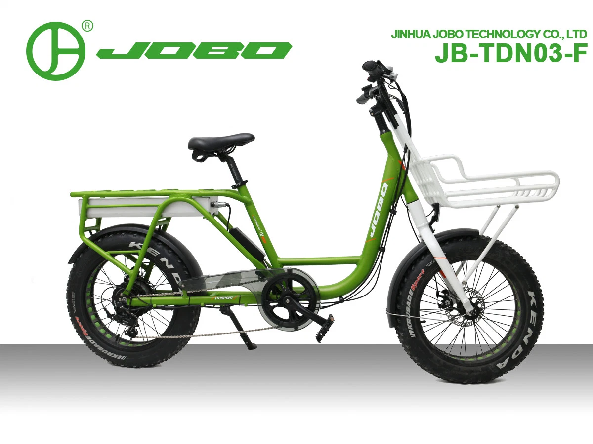 Cargo Electric Bike with Fat Tyre 48V 14.5ah