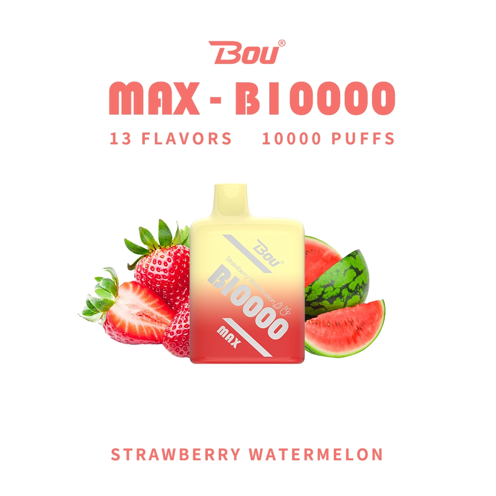 Bou Max B10000 Vape Pen 7000 Puffs E Smoking Cigarette Factory Price