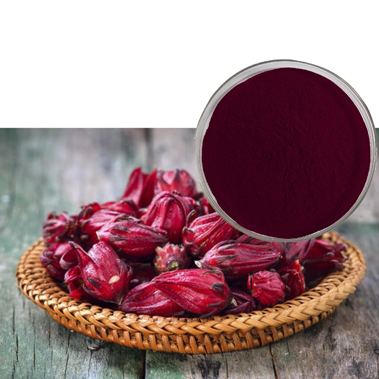 Hibiscus Roselle cosméticos aditivos alimentares pele cuidados vegetais extracto em pó