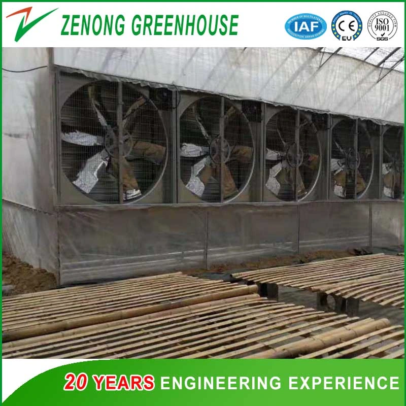 Stainless Steel Blade Exhaust Fan with Aluminum Border for Greenhouse/Poultry Farms