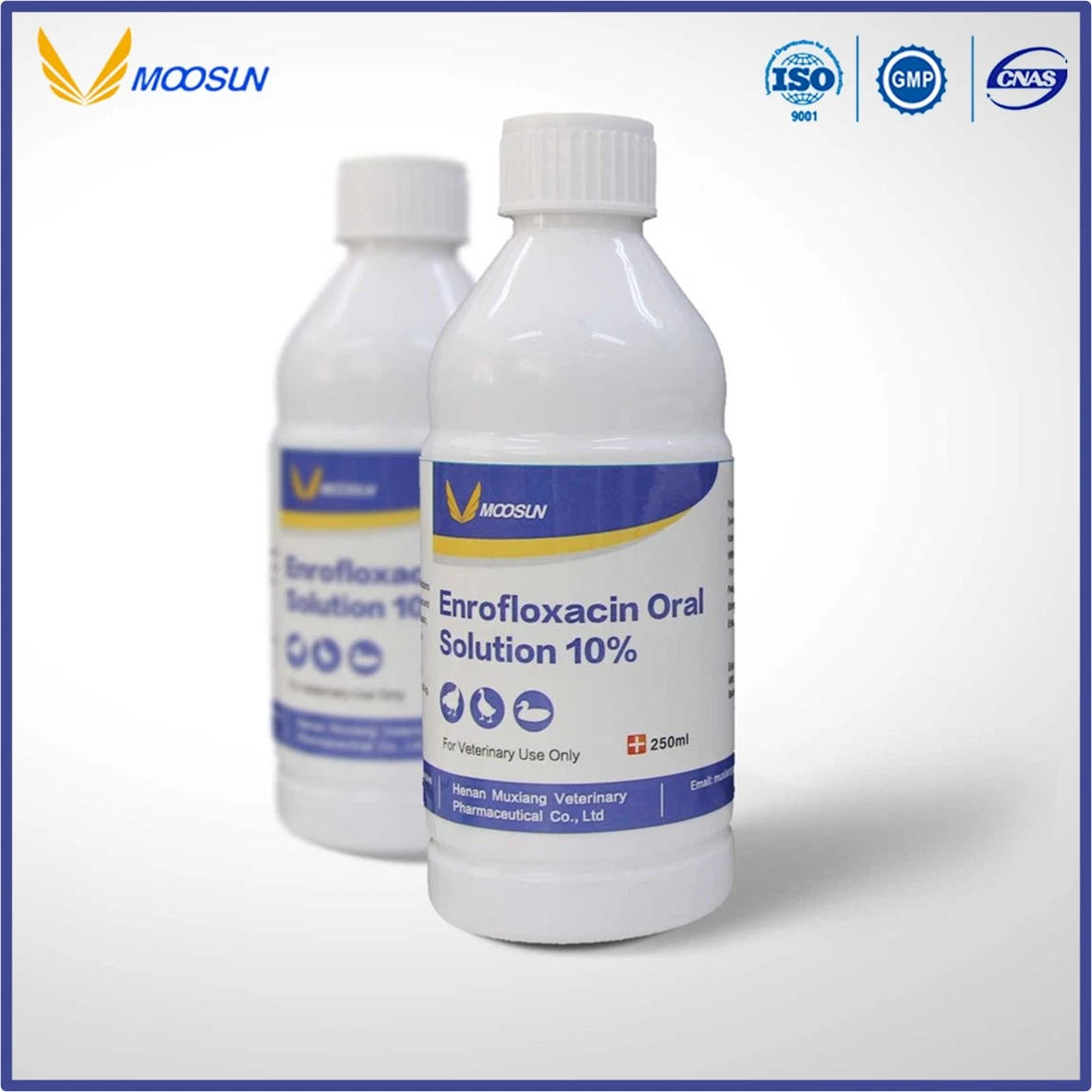 Veterinary Medicine Florfenicol Oral Solution 10% (Animals Use) ISO GMP