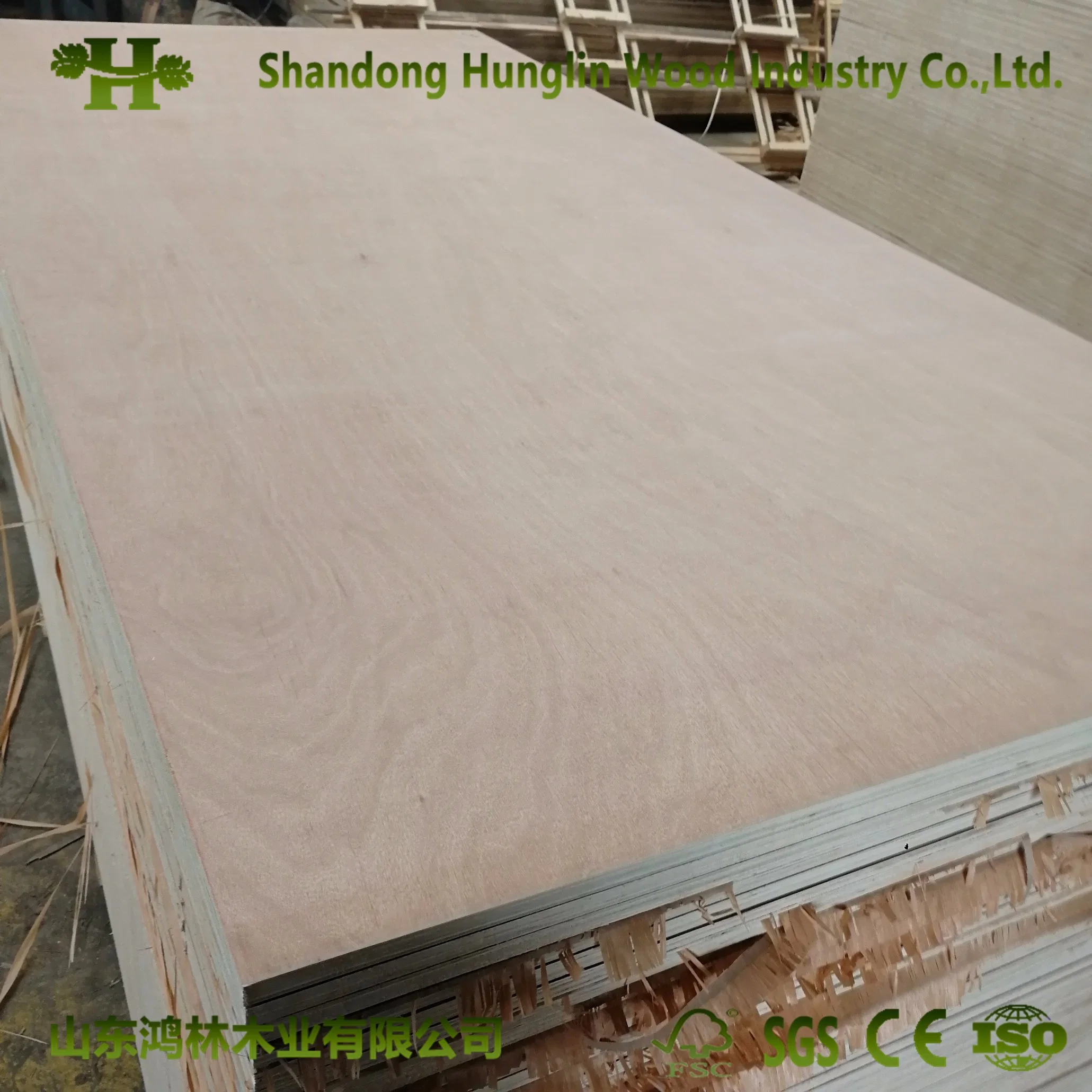 1220x2800mm Shandong bajo precio para el palet de madera contrachapada de grado de embalaje