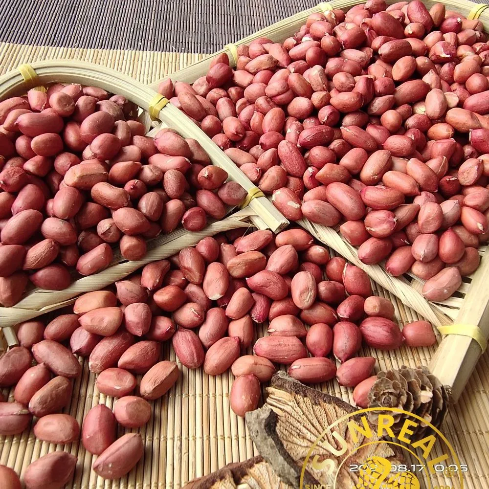 Raw Peanut Kernels/Red Skin/Quality Assurance/All Size/Pukee Foods/Sunreal/Fine Packing