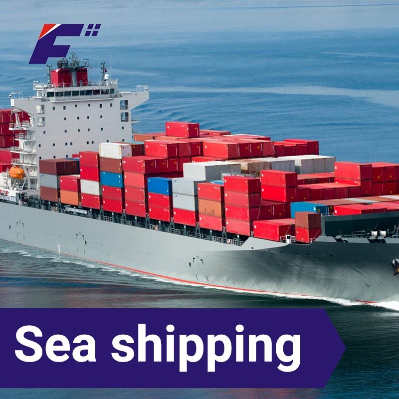 From China to India Freight Forwarders Sea Shipment Cheapest Logistics Service