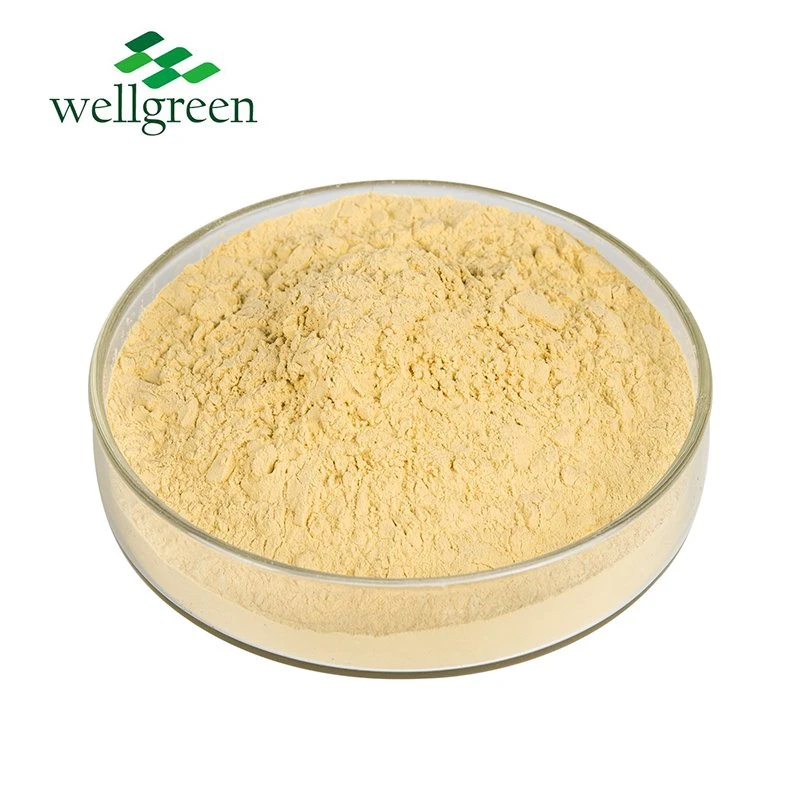 Source Factory Hot Sale 6-Gingerol Ginger Root Extract Gingerol