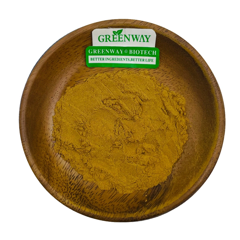 Feed Additive Yucca Schidigera Extract 30% Sarsaponin CAS 8047-15-2