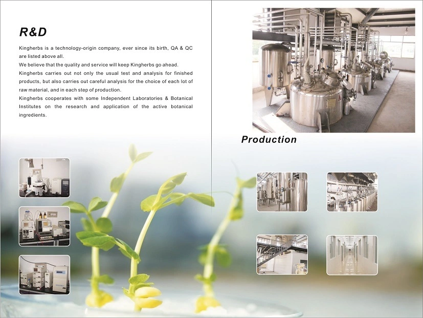 Professional Manufacturer Aloe Vera Extract Gel Freeze Dried Powder