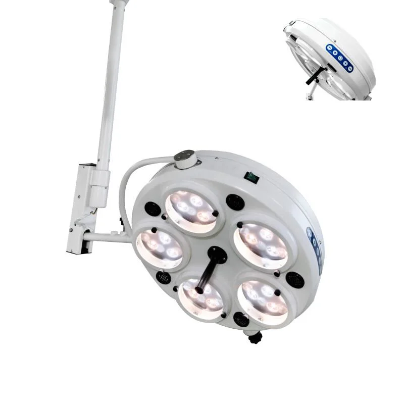 Pet Hospital Shadowless Lamp Operating Surgery Light LED Lamp with Battery