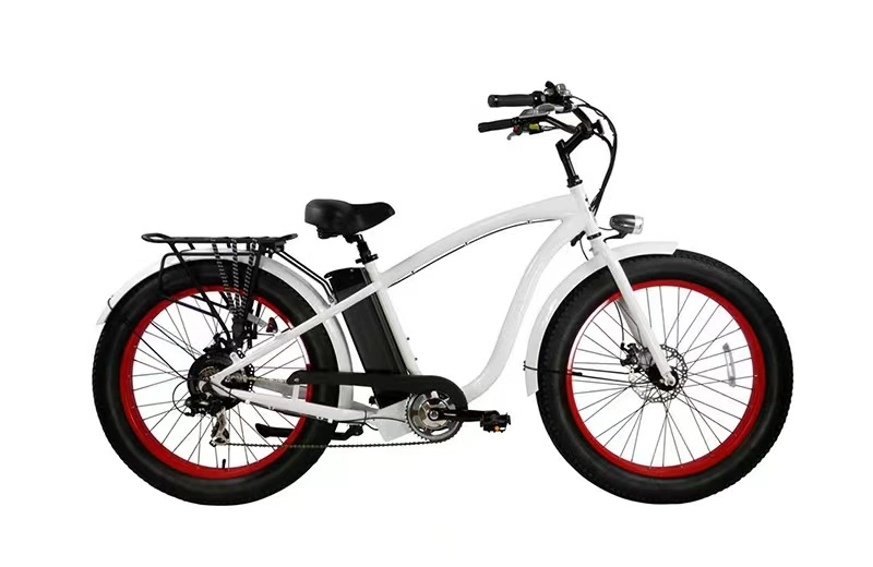 Fat Tire Beach Cruiser Pedal Assist Electric Mountain 1000W Bike Mit China Factory Price