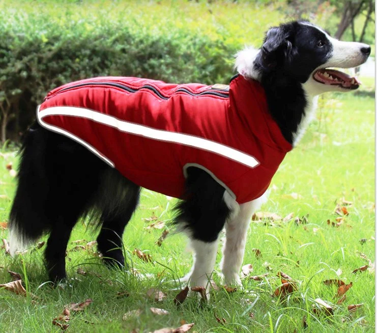 Outdoor Custom Stripe Pet Dog Coat Reflective Waterproof Winter Warm Dog Jacket Clothes