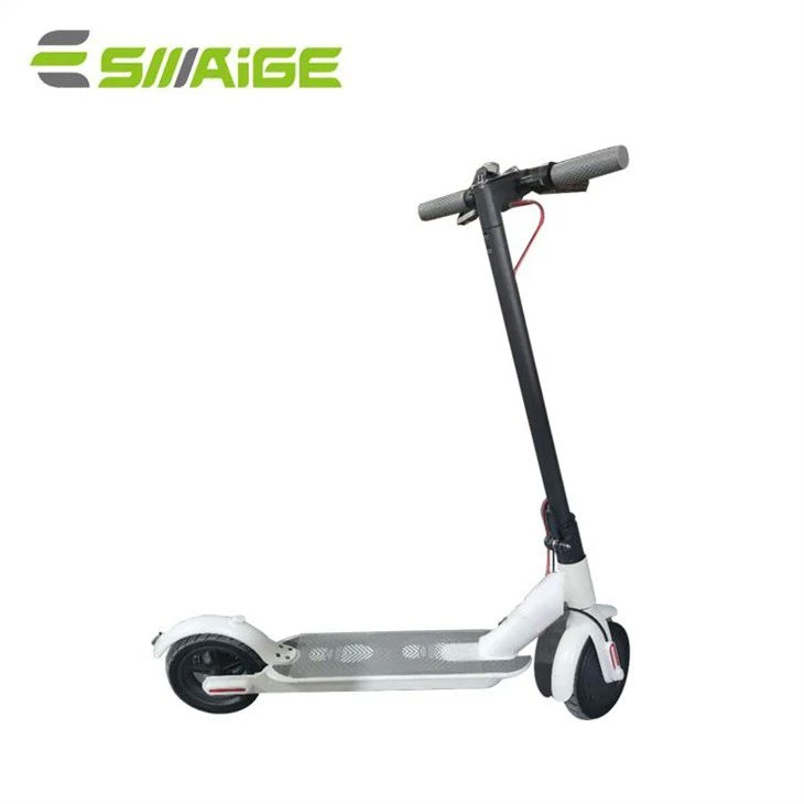 Scooter électrique 10 pouces 250W 36V 6ah adulte Skate électrique Carte