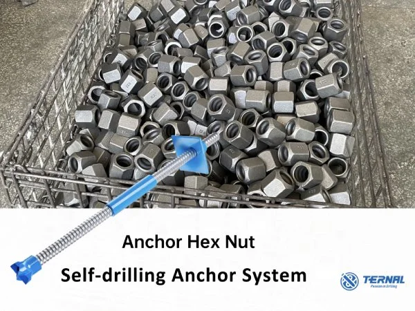 Self-Drilling Anchor Bolt Hexagonal Nut