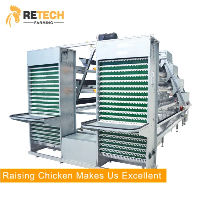 A Type Automatic Cheap Chicken Coop for Laying Hens/Layers /Chickens