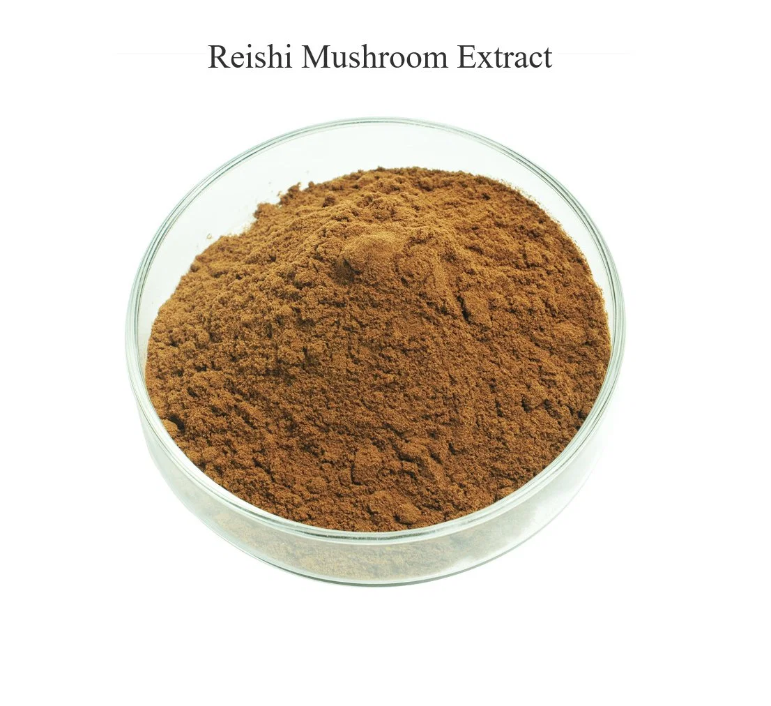 Top Quality Polysaccharides 20% 30% 50% Reishi Mushroom Extract