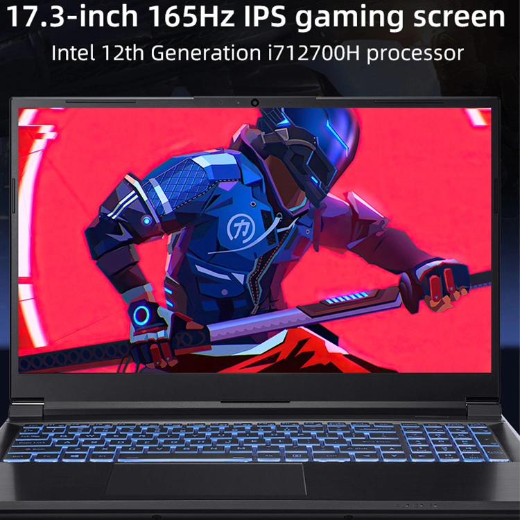 Gaming Laptop 8 Graphic Cards Gaming Laptop PC Gaming Laptop 4K