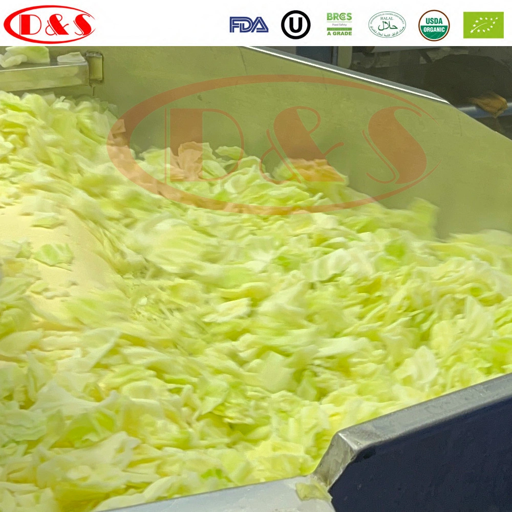 IQF Cabbage Vegetable Frozen Cabbage Slice