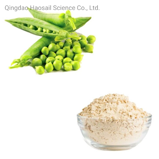 Manufacture Bulk Protein Powder Organic Protein Pea Protein