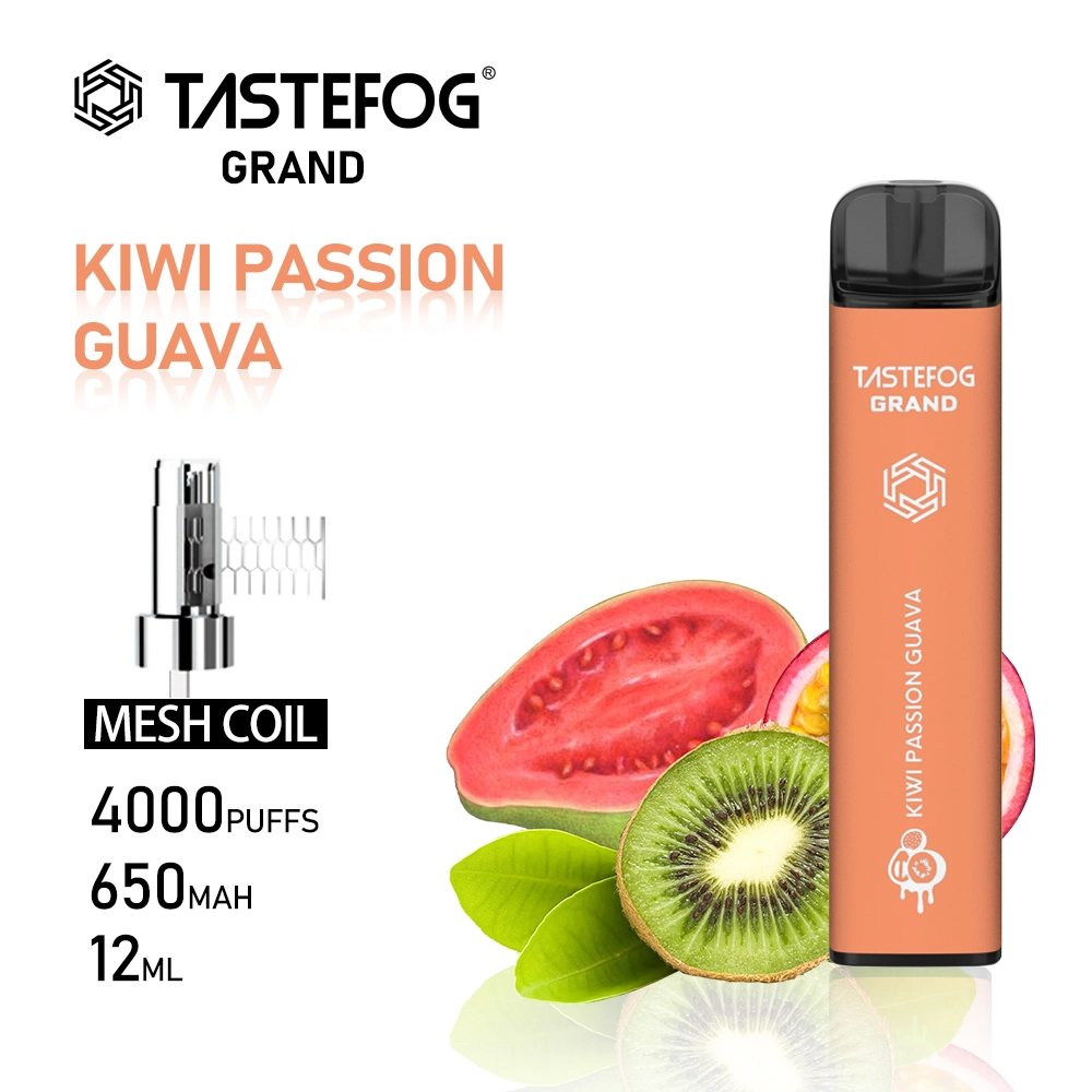 Tastefog Grand Electric 4000 Puffs VAPE Cigarette Shisha Pluma