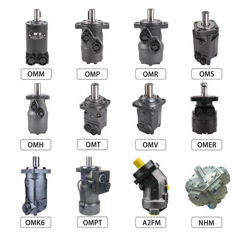 Bm2-50 Bm2-63 Bm2-80 Bm2-100 Bm2-125 Bm2-160 Bm2-200 Bm2-250 Bm2-315 Bm2-400 Bm2-500 Low Speed High Torque Orbital Hydraulic Motor