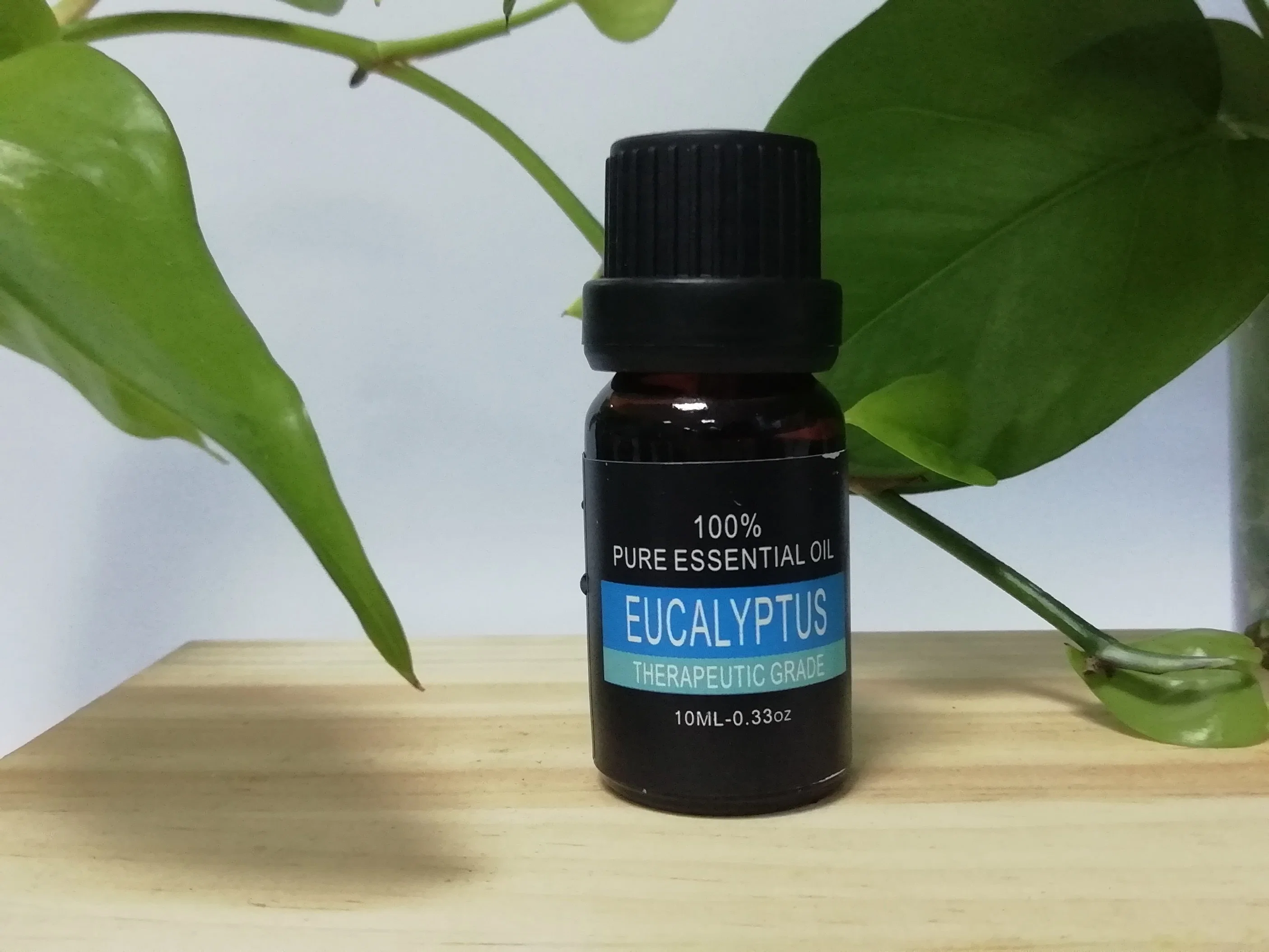 Aceite esencial Personalizar pequeña botella de aceite de hoja de eucaliptol fabricante