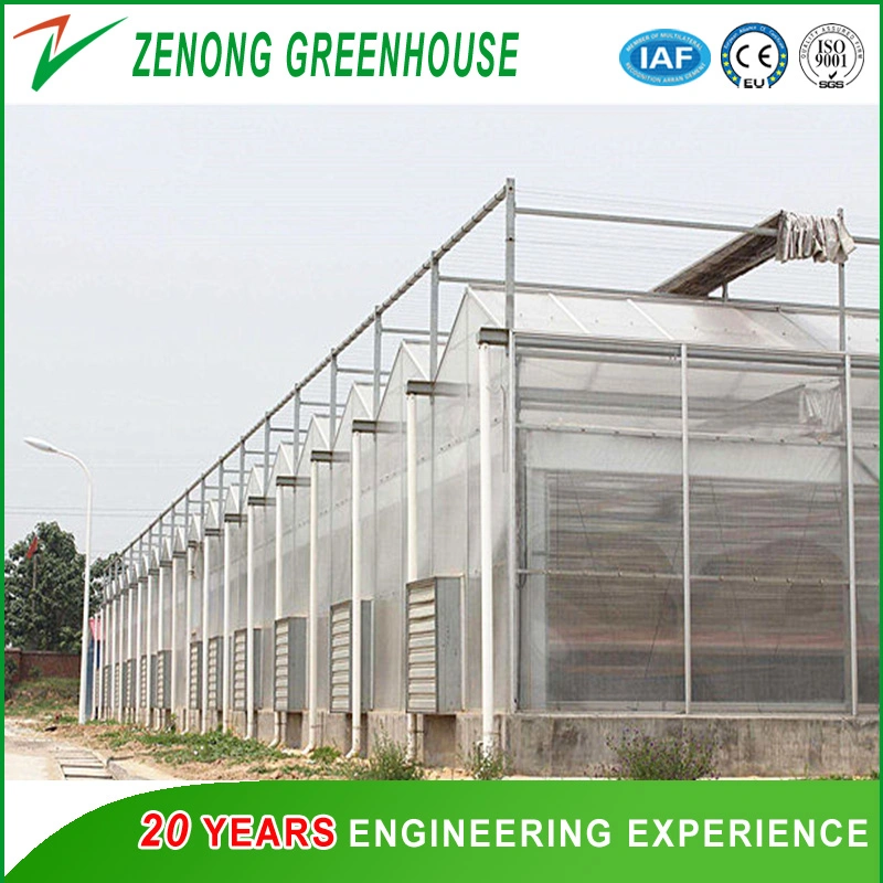 Plastic Hollow Polycarbonate PC Green House for Strawberry/Tomato Hydroponics