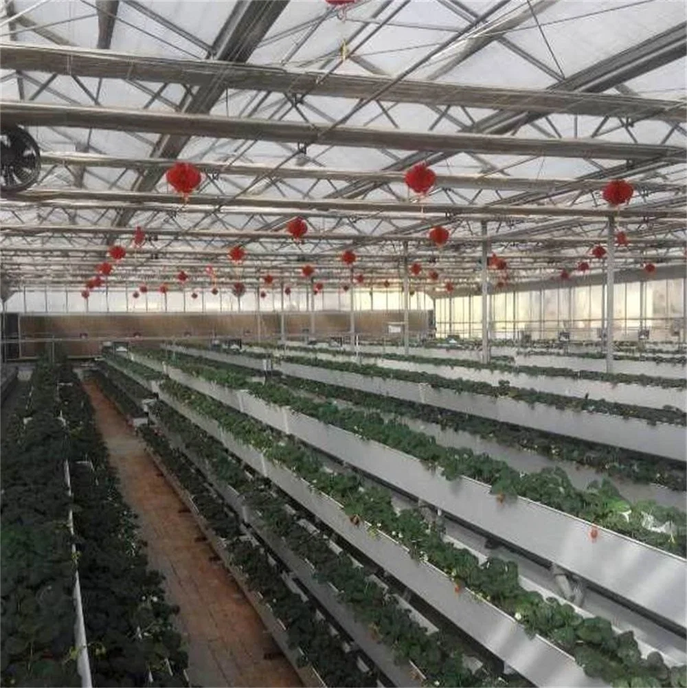 Commercial Strawberry Planting PVC Gutter Hydroponics Growing System