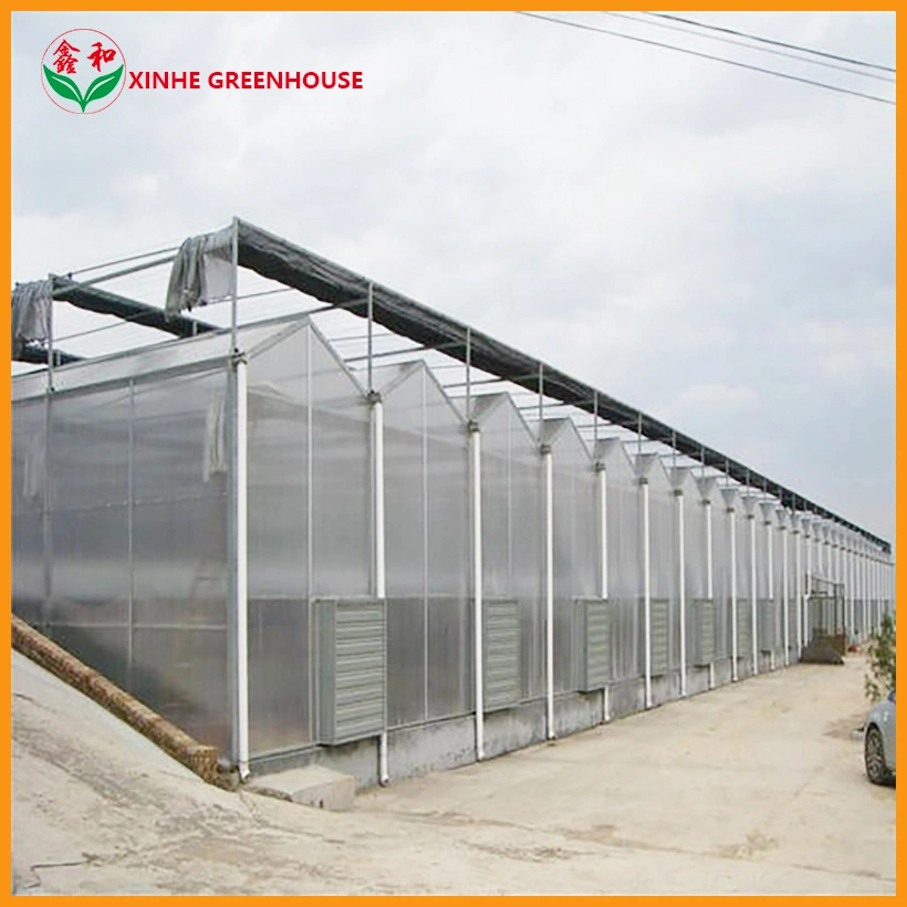 PC Sheet Green Houses Hydroponics System for Vegetables Flowers Fruit
