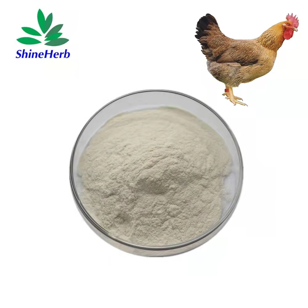 Hydrolyzed Collagen Type 2 Type II Chicken Collagen Type II Powder Cartilage Peptide