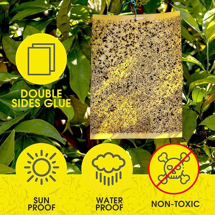 Yellow Board Sticky Trap for Insects and Flyings