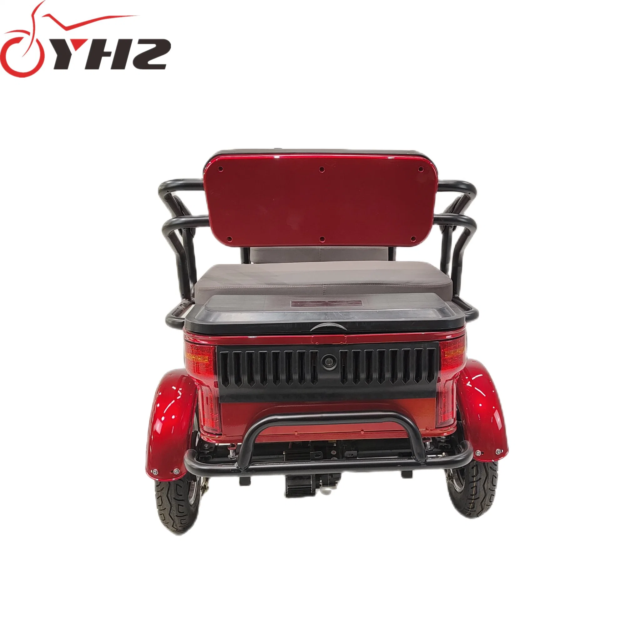 New Vehicle Electric Tricycle for Passenger Mobility Scooter 60V/650W with Double Seat