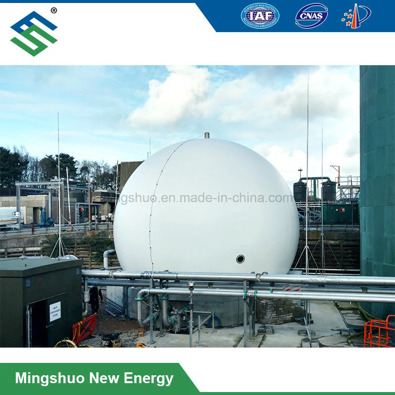 Constant Pressure Membrane Gas Dome Biogas Balloon Gas Storage Tank