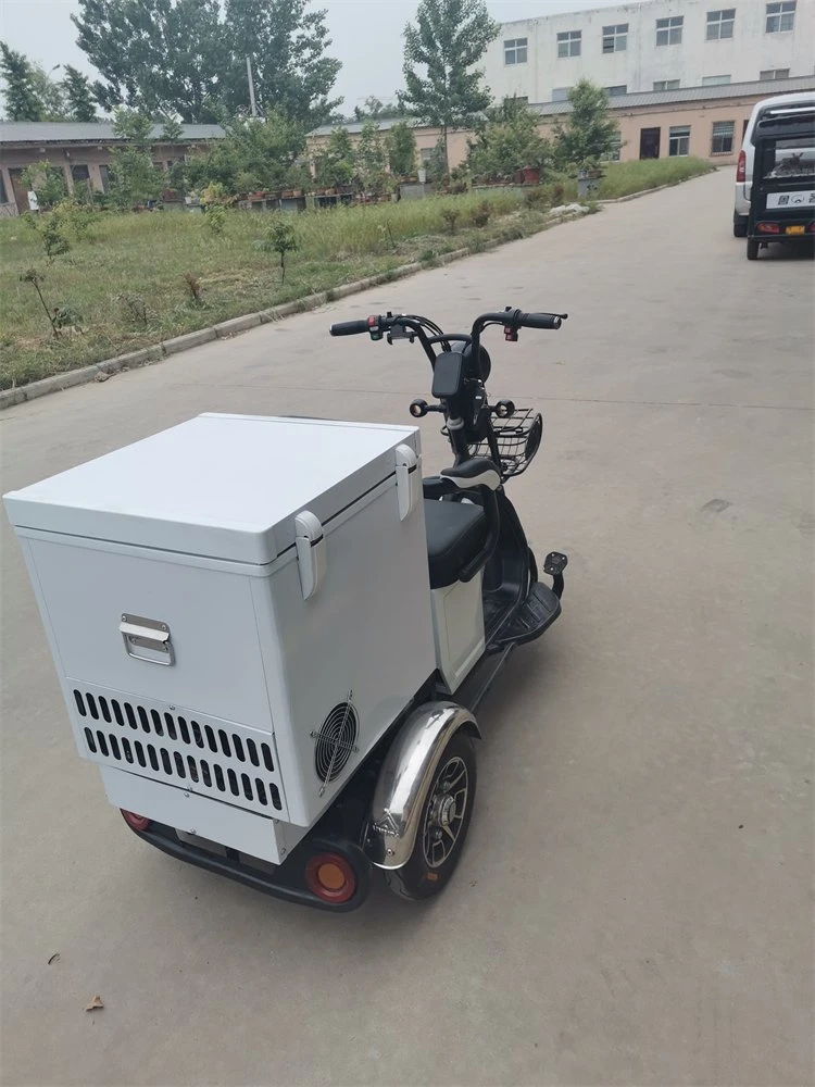 Triciclo congelador refrigerado eléctrico Ice Cream Trike com Frigorífico entrega Caixa