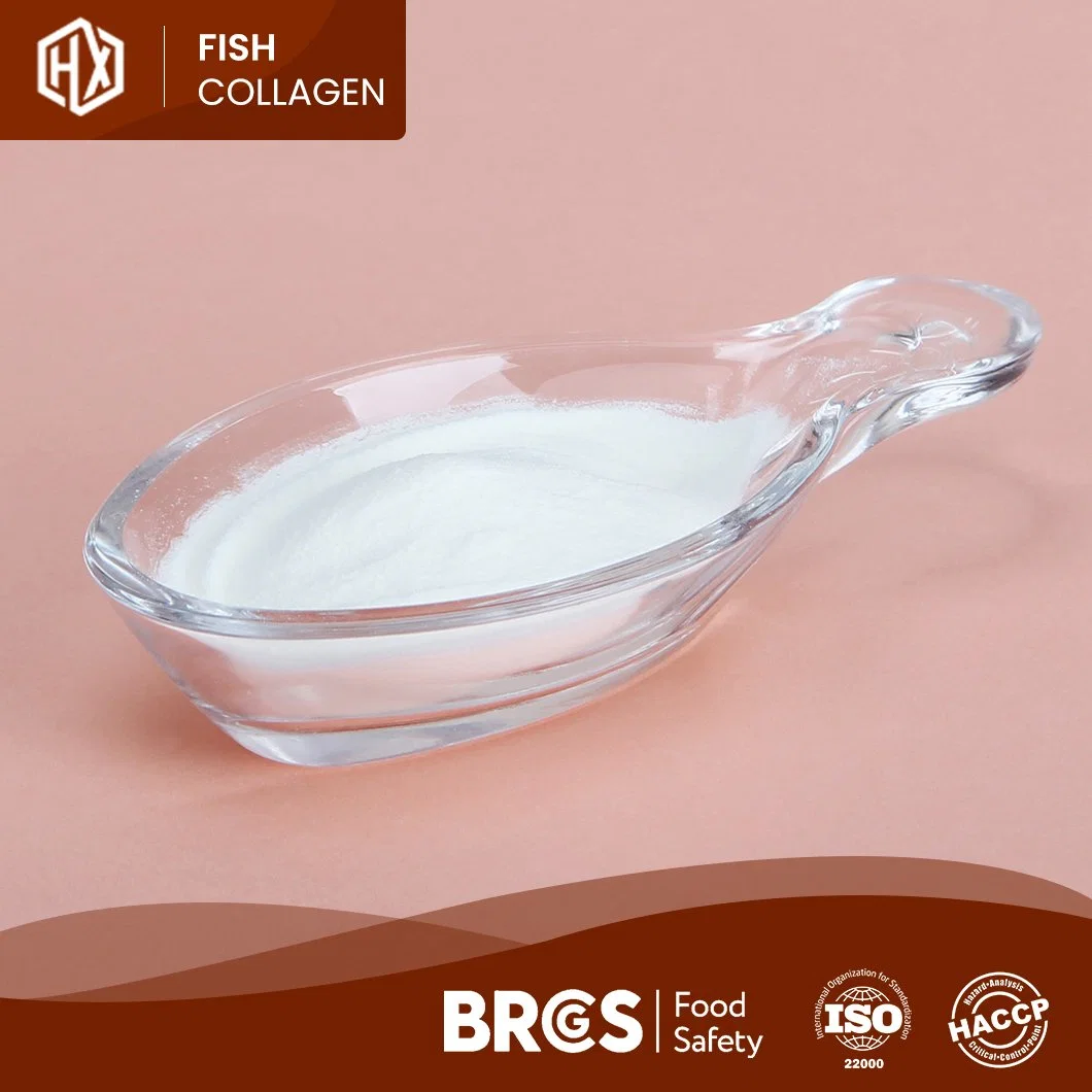 Haoxiang Wholesale Collagen Protein Peptide Set Marine Tilapia Scale Collagen Peptide Powder Food Grade and Cosmetic Grade Marine Collagen Hydrolyzed Gelatin