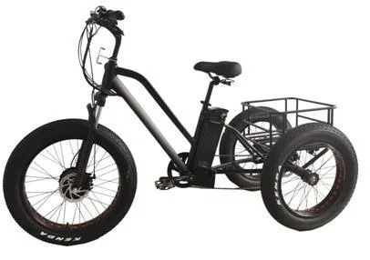 Modelo fabricado com scooter elétrica Sports eBike/eBike Adult