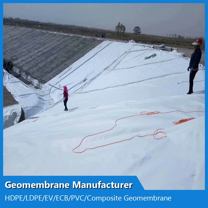 Anti-Seepage 4-6m Width Geotextile Composite Geomembrane for Tunnel Construction