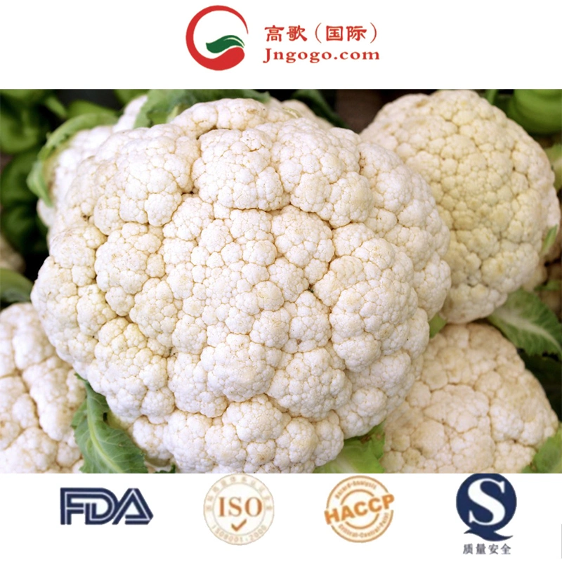 Cauliflower Wholesale/Supplier/Fresh Cauliflower From Vietnam