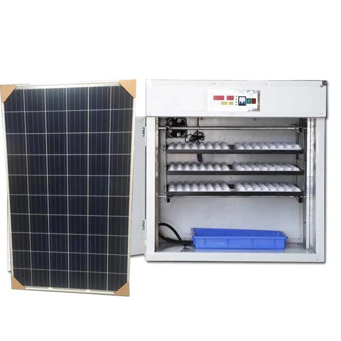 Factory Supplied Solar Eggs 528 Capacity Chicken Incubator Dubai