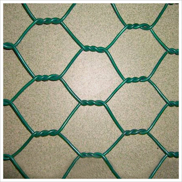 Galvanizado recubierto de PVC malla de alambre de pollo Hexagonal malla de alambre malla Gabion