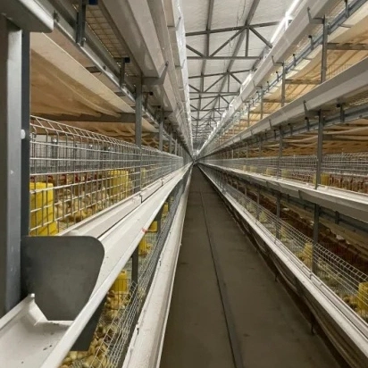 China Low Cost Steel Frame Chicken Layer Duck Breeding Farming House