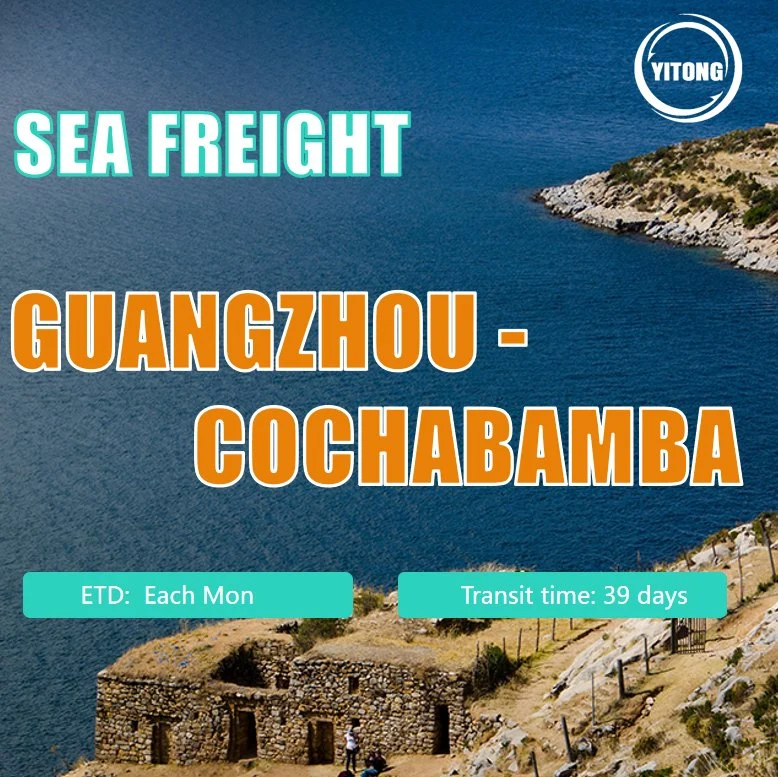 Seefracht von Qingdao nach Cochabamba