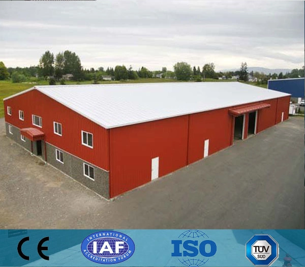 Chicken Poultry House with Wholeset Automatic Equipments