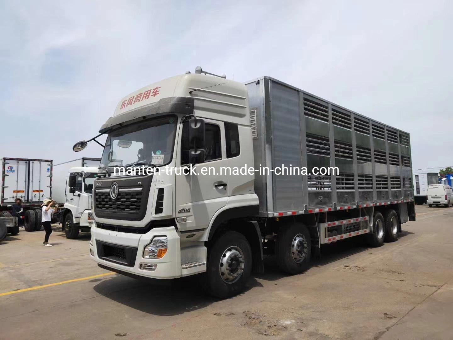 Dongfeng 315 CV de aleación de aluminio 8X4 camión de transporte de cerdos a temperatura constante para todo el ganado y aves de corral de la entrega