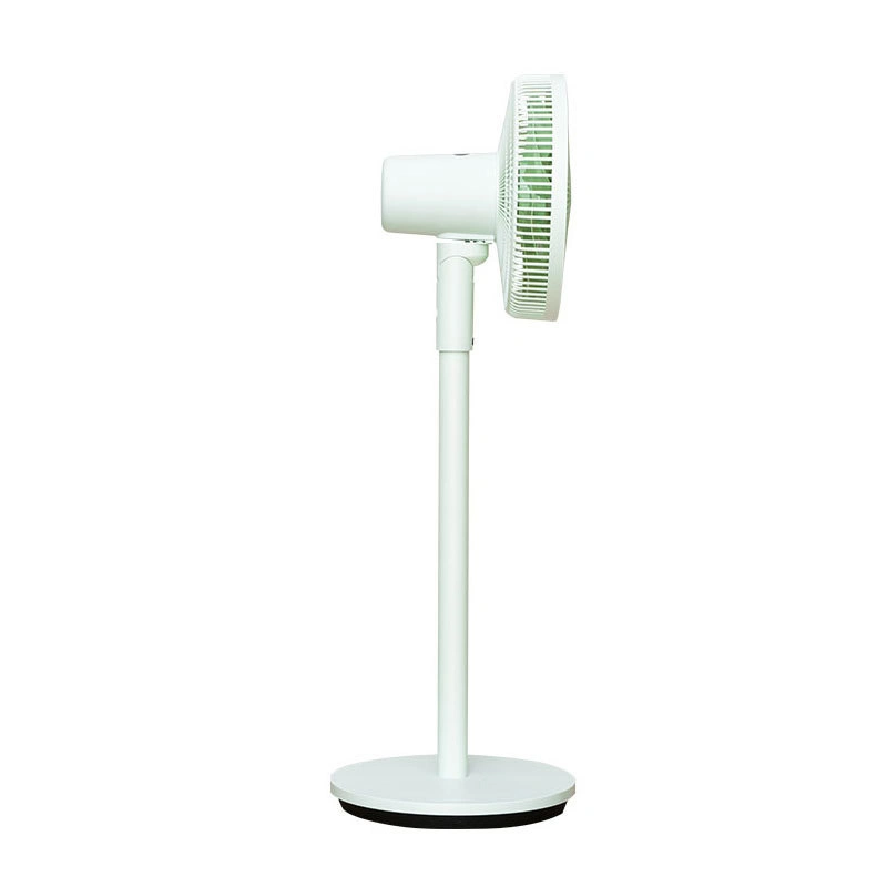 Electric Floor Standing Fan with CE for Home Easy Disassembly and Clean Air Circulator Fan