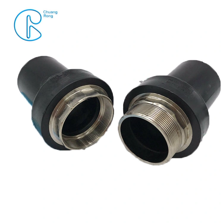 Plastic HDPE Fittings Bsp NPT Thread Male Union Adaptor