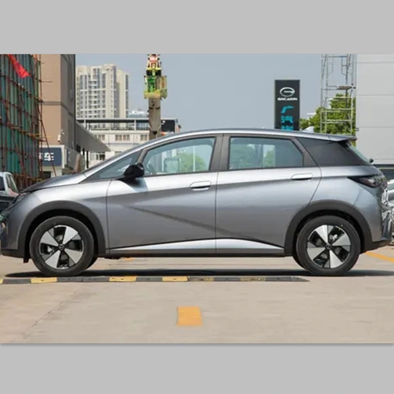 Hot-Selling New Energy Electric Vehicle with High Appearance