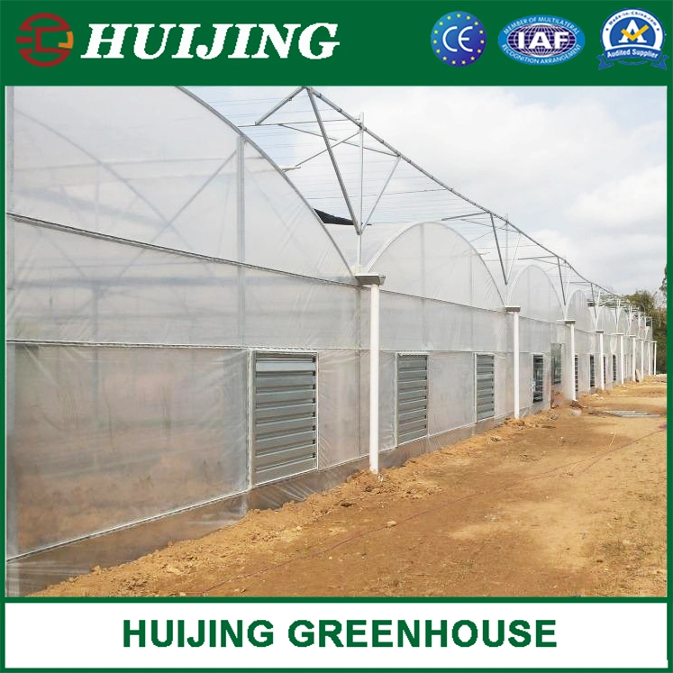 Agricultural Planting Poly Film Multi-Span Greenhouse for Sale