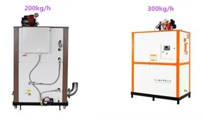 0.5 Ton Mini Gas Steam Boiler for Press