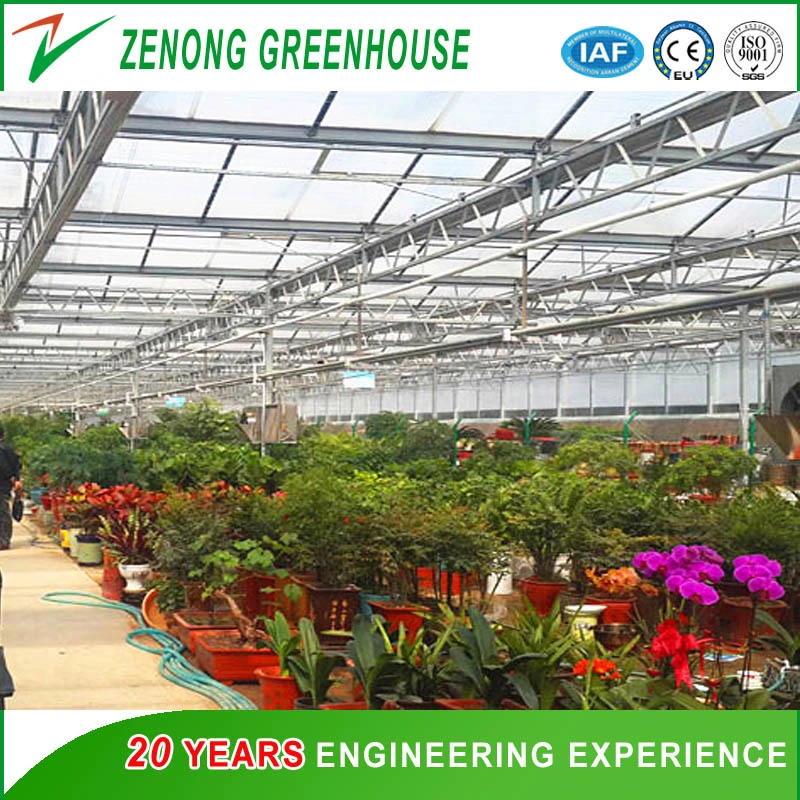 Tunnel Type Arch Film/Poly Greenhouse for Cultivation/Agriculture/Planting Vegetables/Seed Breeding