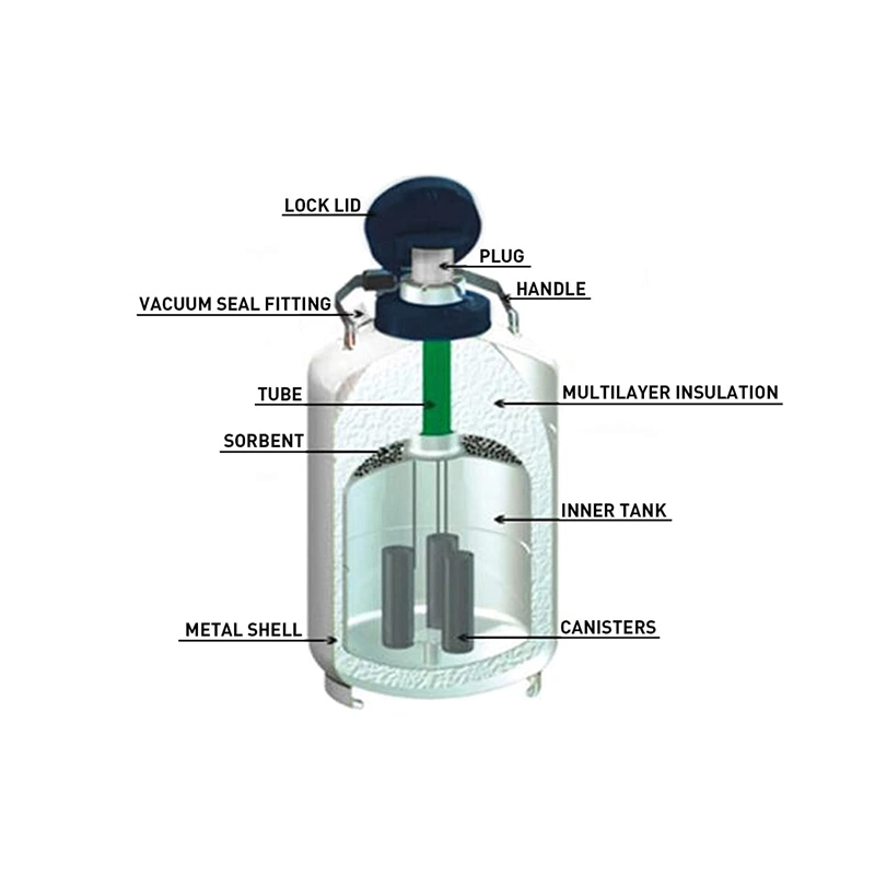 Yds-10-125 Compact and Lightweight Portable Cryogenic Liquid Nitrogen Containers for Medical Laboratory Equipment Promed